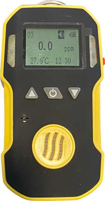 BH-90A Portable Gas Detector