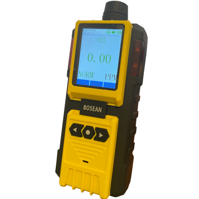 K-600 Portable Single Gas Detector