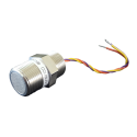 D10-17 Combustible Sensor