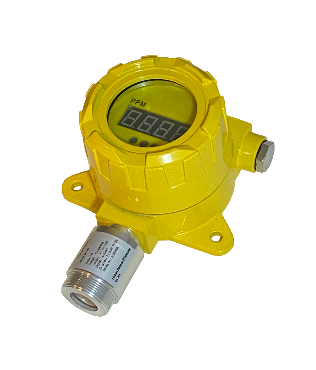 BH-60 Fixed Gas Detector