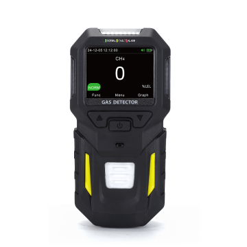 BT-BX102 Combustible Gas Detector