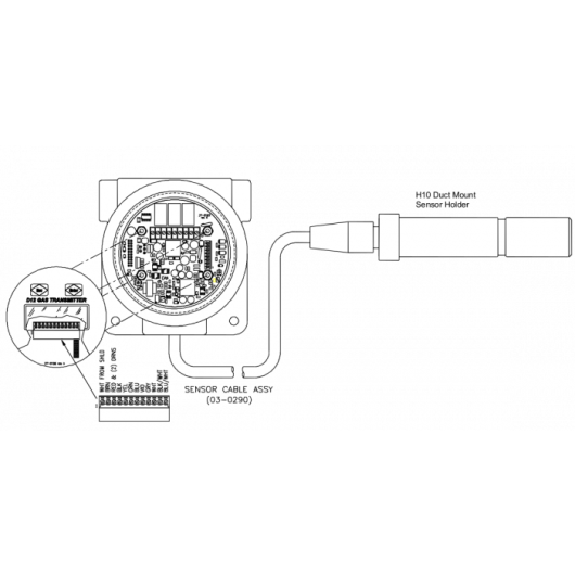 H10 Insertion Cable