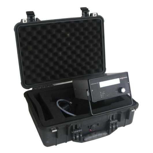 Pelican Case - Large