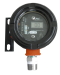 C12 Combustible Gas Transmitter with display