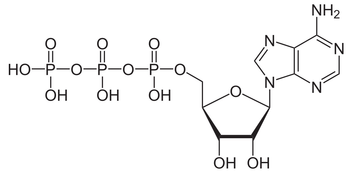 Skeletal formula of acetic acid