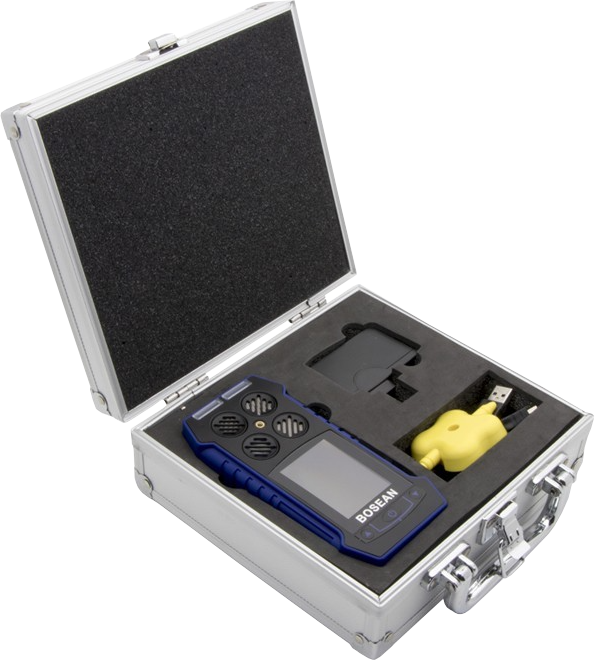 Portable gas detector
